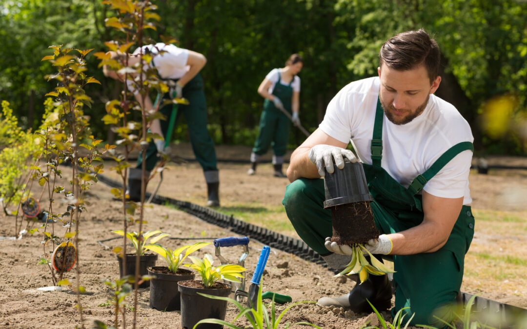 Gärtner (m/w/d) ab 18€/Stunde